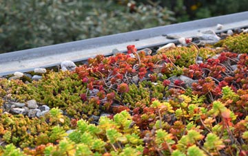 the cost of Morfa Nefyn green roof installation