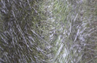 Morfa Nefyn fibreglass roof work